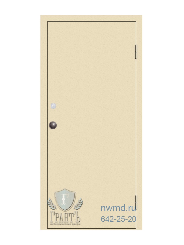 Нестандартная металлическая дверь 01-31